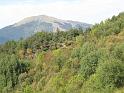 Signaraux 037